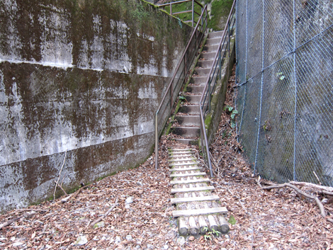 20200110hike (448)